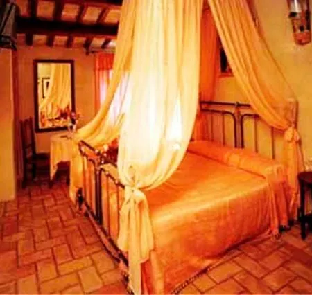 Il Paradiso Del Re